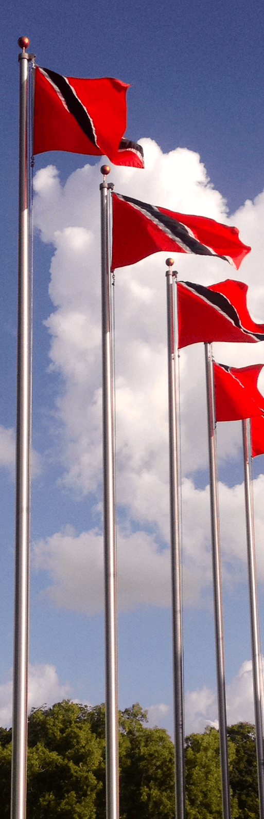Trini-Flags-Side 2